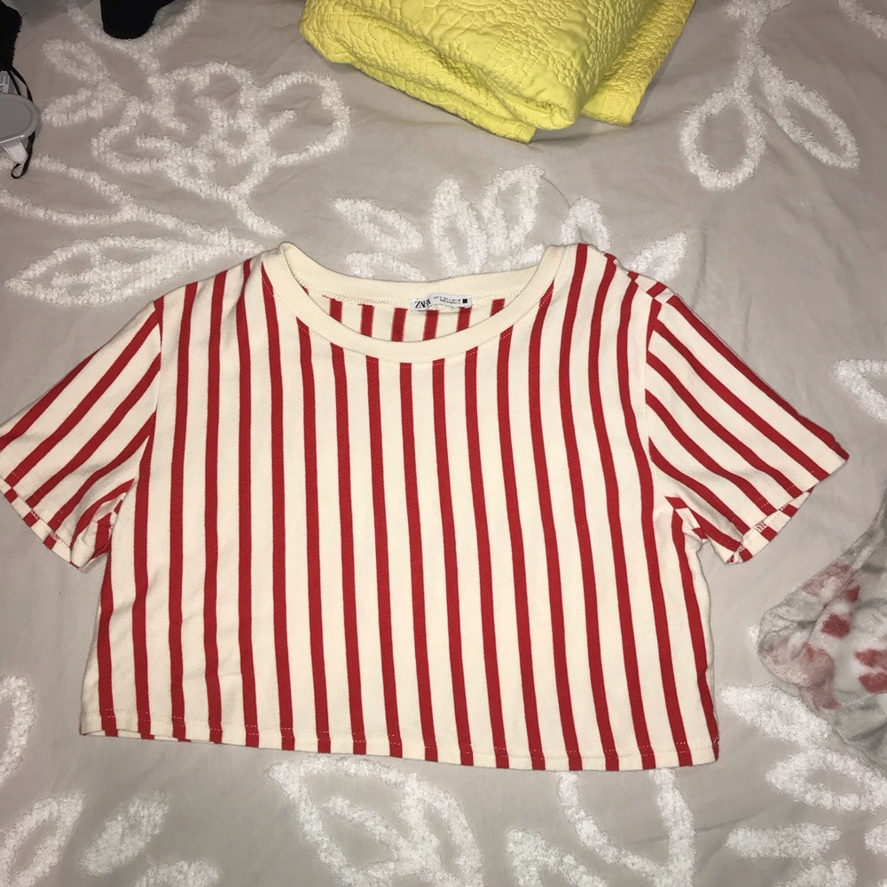 Zara crop top